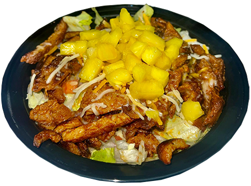 Al_pastor_bowl